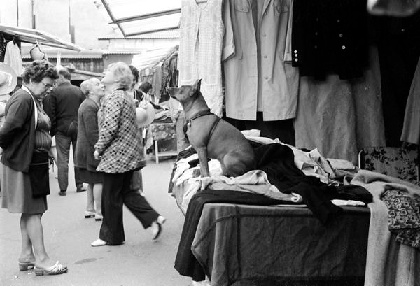 4a-45 Flea Market